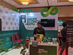 LindungiHutan Ikut Berpartisipasi dalam Green Economy Expo 2024 di Jakarta Convention Center