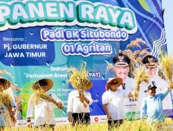 Bupati Situbondo bersama Pj Gubernur Jatim Panen Raya Padi BK 01 Agritan