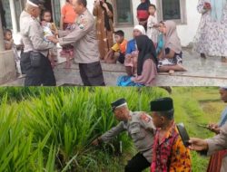 Warga Desa Tolang Kecamatan Banyuates Geger Atas Penemuan Seorang Bayi Perempuan di Sawah