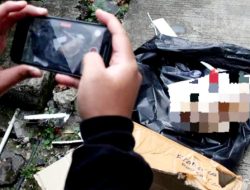 SMSI Bondowoso Sebut Kebebasan Pers Terancam Usai Media Tempo Dapat Teror Kepala Babi dan Bangkai Tikus