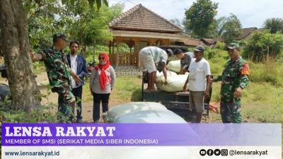 Babinsa Kodim 0822 Kawal Penyerapan Gabah Petani oleh Bulog di Bondowoso