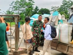 Babinsa Kodim 0822/06 Tamanan Gandeng Bulog Serap Gabah Petani di Desa Pangarang