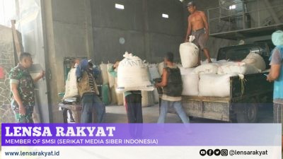 Dukung Ketahanan Pangan, Babinsa Nogosari Koramil Sukosari Bersama Bulog Serap Gabah Petani