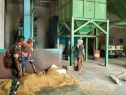 Pastikan Stabil, Babinsa Pakuwesi Koramil 0822/02 Curahdami Dampingi Petani Serap Gabah