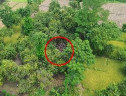 Patroli Drone, Polres Pasuruan Kota Berhasil Identifikasi dan Bongkar Lokasi Sabung Ayam