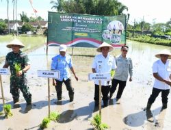 Kasdim 0822 Hadiri Gerakan Tanam Padi Serentak 14 Provinsi bersama Presiden R.I Secara Vicon