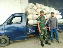 Babinsa Kodim 0822/13 Tlogosari Bersama Bulog Serap Gabah Guna Tingkatkan Pendapatan Petani di Desa Jebung Lor