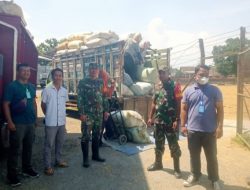 Peran Aktif Babinsa Kodim 0822/08 Grujugan Dampingi Bulog Serap Gabah Petani di Desa Kabuaran
