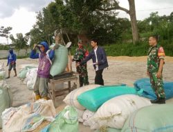 Jaga Harga Agar Tetap Stabil, Babinsa Kodim 0822/16 Cermee Kawal Serap Gabah di Desa Pelalangan