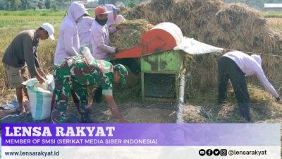 Wujud Perhatian TNI Kepada Petani, Babinsa Kodim 0822/08 Grujugan Kawal Bulog Serap Gabah di Desa Wonosari