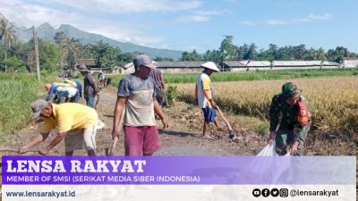 Aksi Babinsa 01 Bondowoso di Hari Minggu! Gotong Royong Jadi Ajang Kedekatan TNI-Rakyat
