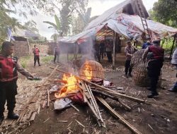 Personel Gabungan Polres Mojokerto Bongkar Arena Judi Sabung Ayam di 2 Lokasi