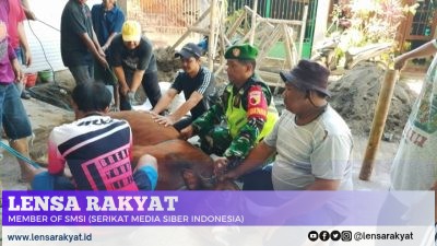Momen Hari Raya Idul Adha 1446 H, Babinsa Badean Lakukan Komsos dan Dampingi Pemotongan Hewan Qurban