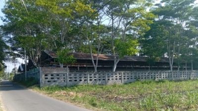 Bau dan Limbah Peternakan Ayam di Arjasa Situbondo Resahkan Warga, Pemerintah Diminta Tegas