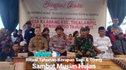 Sambut Musim Hujan, Warga Desa Klabang Gelar Ritual Tahunan Kerapan Sapi dan Ojung