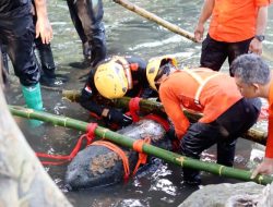 Mengerikan! Bom Udara Sepanjang 1,5 Meter Masih Aktif Ditemukan di Dasar Sungai Blitar, Tim Jibom Bergerak