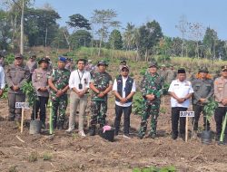Menyongsong HUT TNI ke-81, Kodim 0822 dan SMSI Bersatu Menghijaukan Bumi Bondowoso